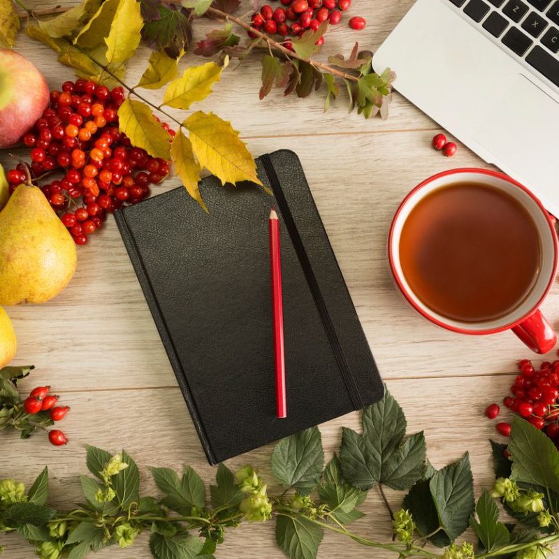 laptop and notebook with holiday decorations