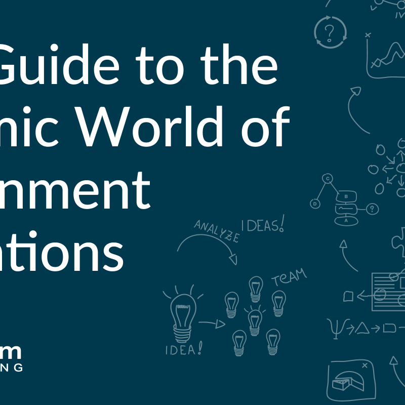 Your Guide to the Dynamic World of Government Evaluations